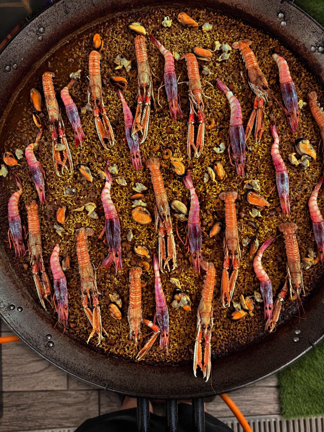 Arroz de marisco en una paellera grande, con cigalas, gamba roja y mejillones, visto desde arriba